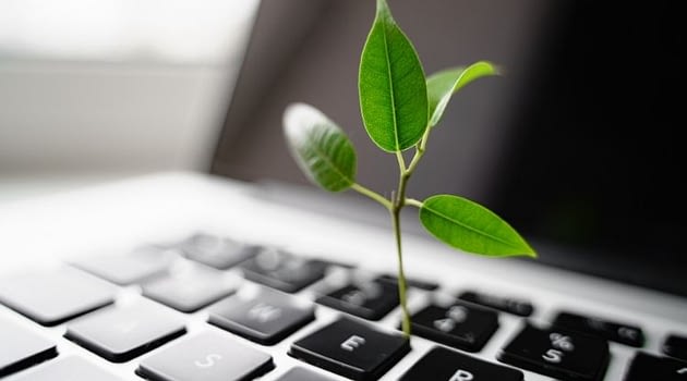 Essential Steps to Starting a Sustainable Business