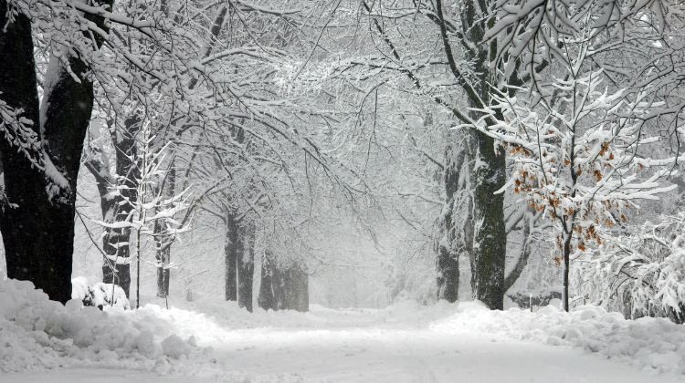 Preparing Your Business for Winter Storms